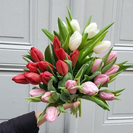 saison-offrir-tulipes